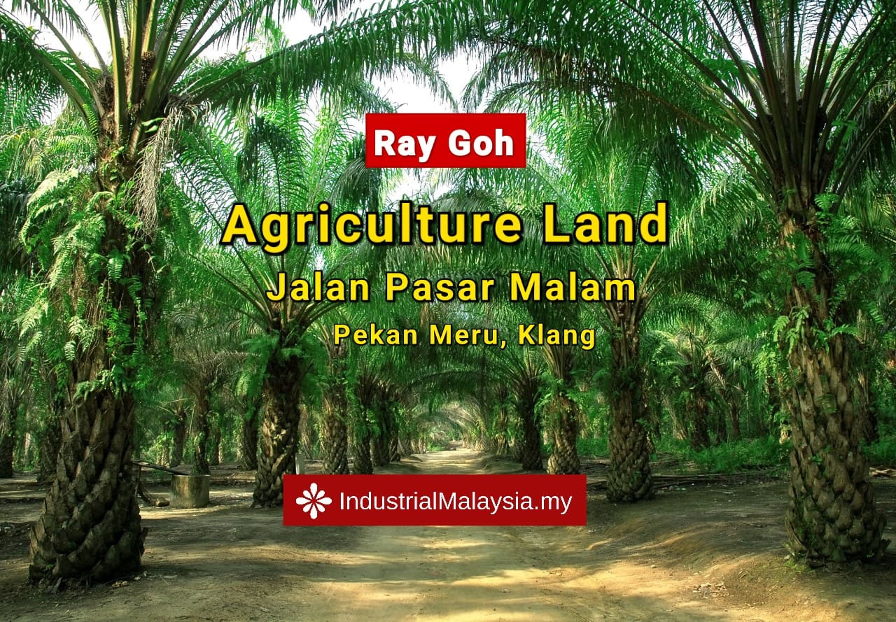 Jalan Pasar Malam Meru Agriculture Land 3 Acres