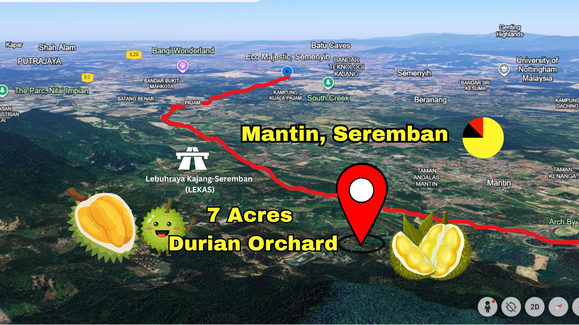 Mantin Seremban 7 Acres Durian Orchard